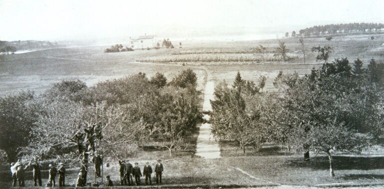 The image shows a group of people in an orchard, likely harvesting fruit. There are several trees and a path leading into the distance. In the background, there is a field and some buildings. The overall scene suggests a rural setting, possibly in the late 19th or early 20th century.